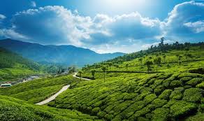  Munnar Kerala