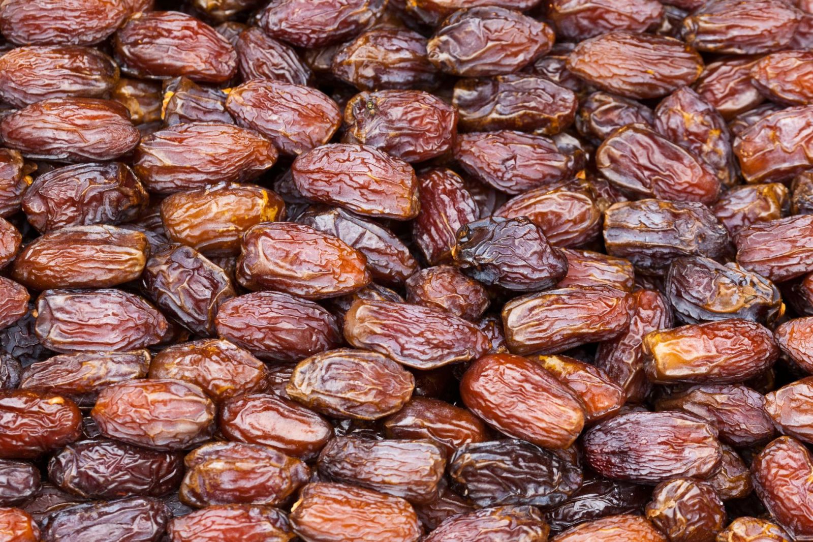 khajoor dates