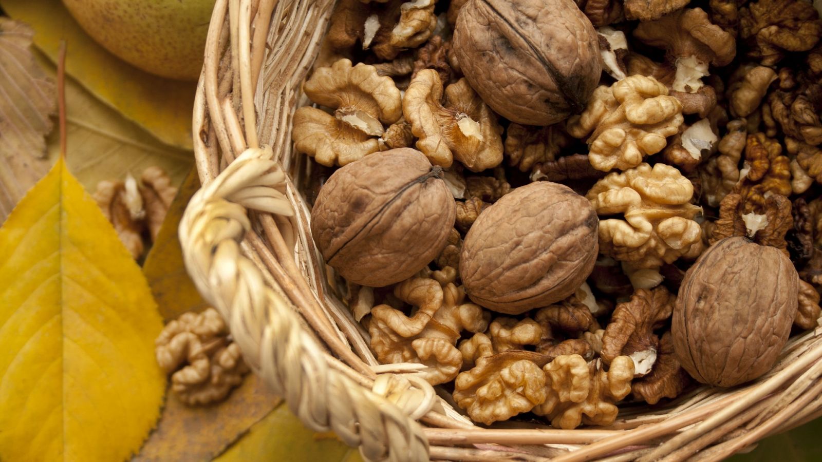  Benefits of Walnuts