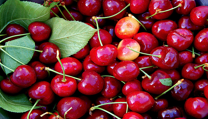 Cherry Fruit