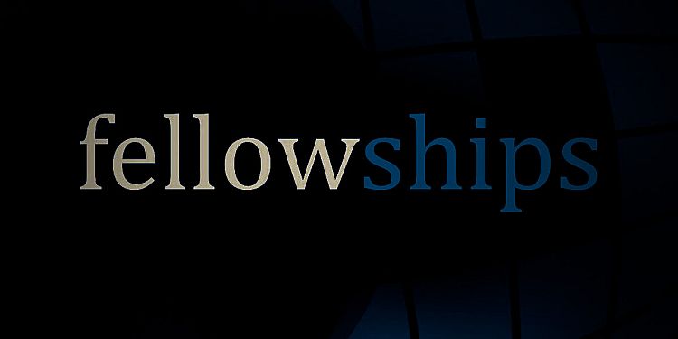 what-is-scholarship-and-fellowship-difference-between-these-two