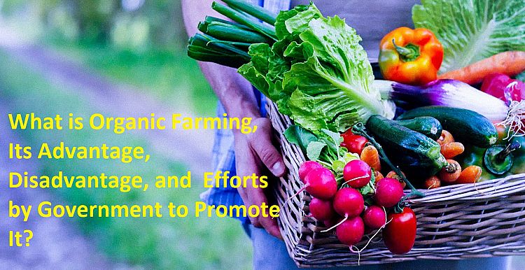 Organic Farming