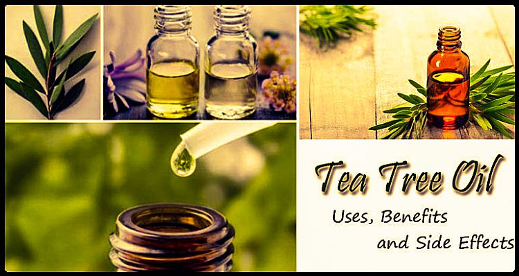 Tea Tree Oil Benefits