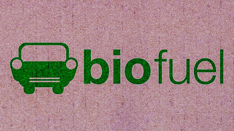 World-Bio-Fuel-Day