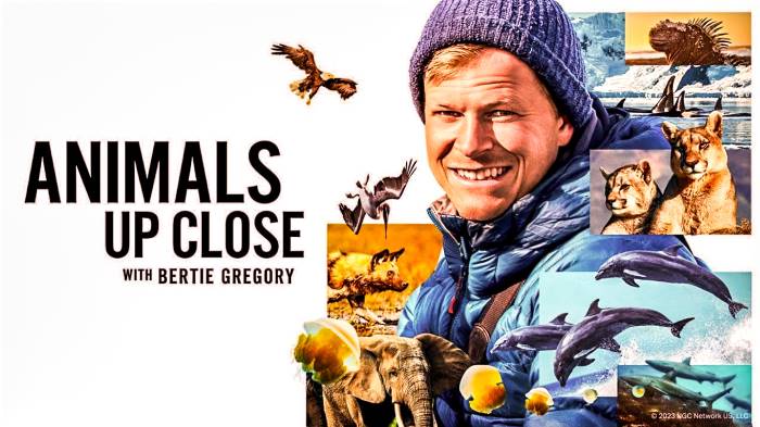 Animals Up Close with Bertie Gregory