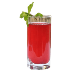 Kokum Sherbet