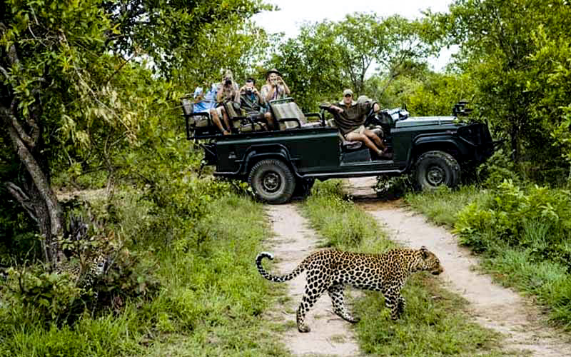 Wildlife Sanctuary Kumbhalgarh Fort