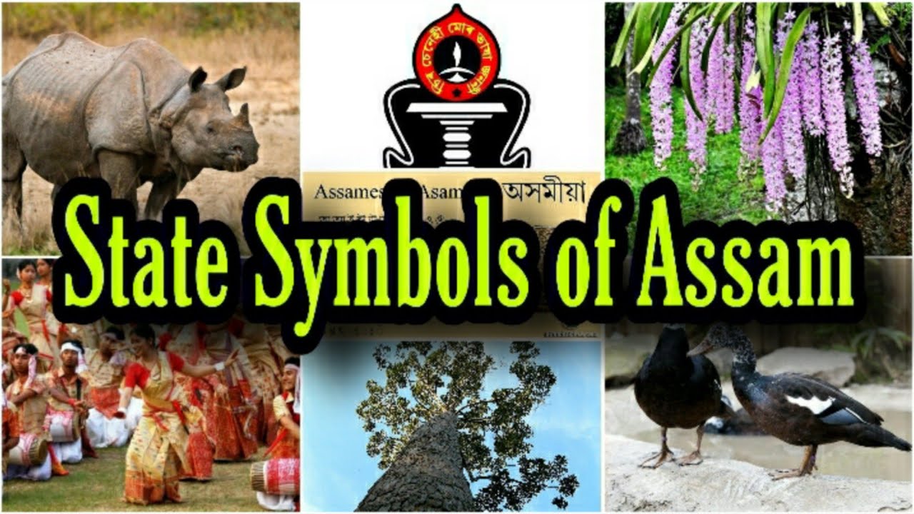 state-emblem-and-symbols-of-assam