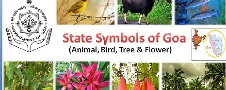 State Emblem and Symbols of Goa