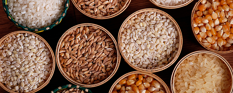 Everything About Whole Grains You Should Know